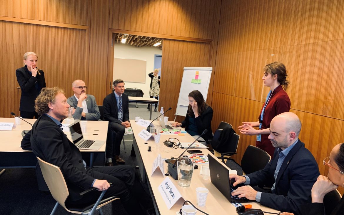 UN SDG Learn Steering Group meeting_group discussion