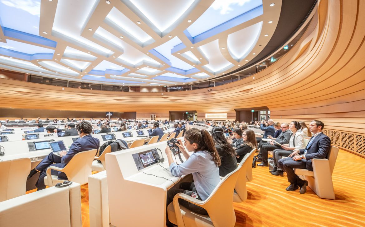 United Nations Immersion Programme