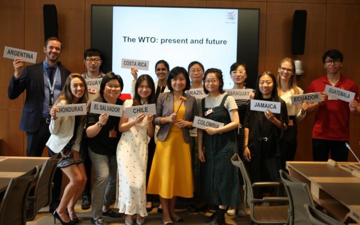 United Nations Young Leaders Training Programme