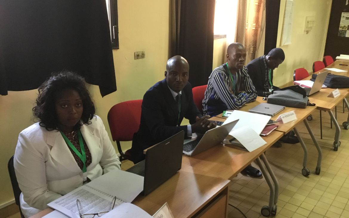 Country representatives at the workshop