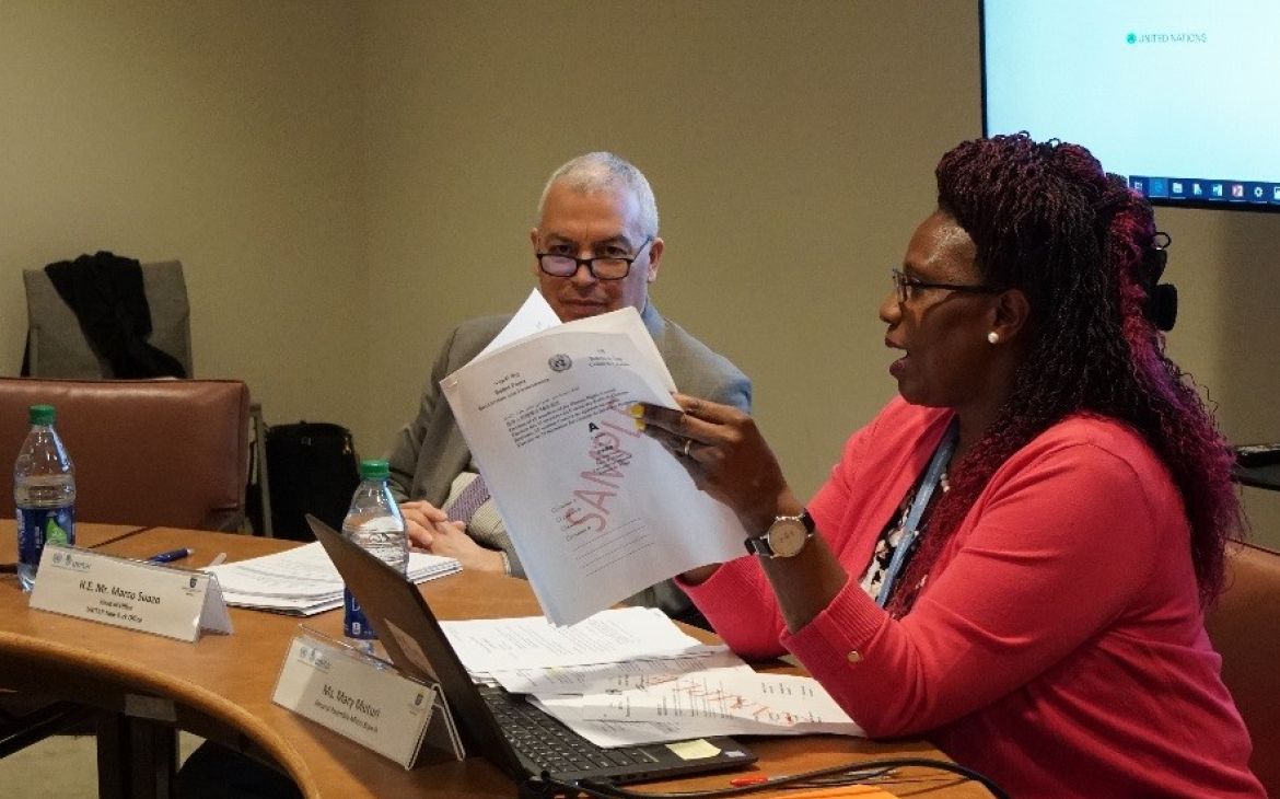 Ms. Mary Muturi, General Assembly Affairs Branch, presenting on CandiWeb 