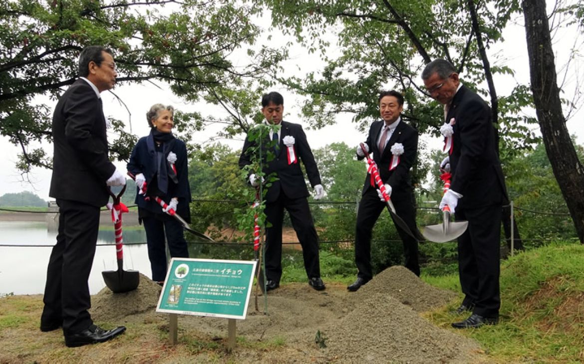 GLH coordinator Nassrine planted Gingko at Hiroshima Hill