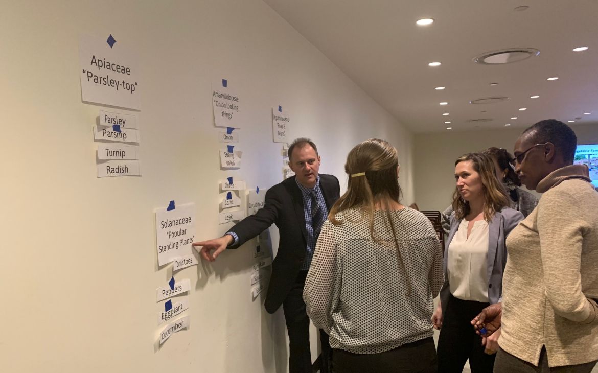 Using Agroforestry to Meet SDGs: Establishing Forest Gardens