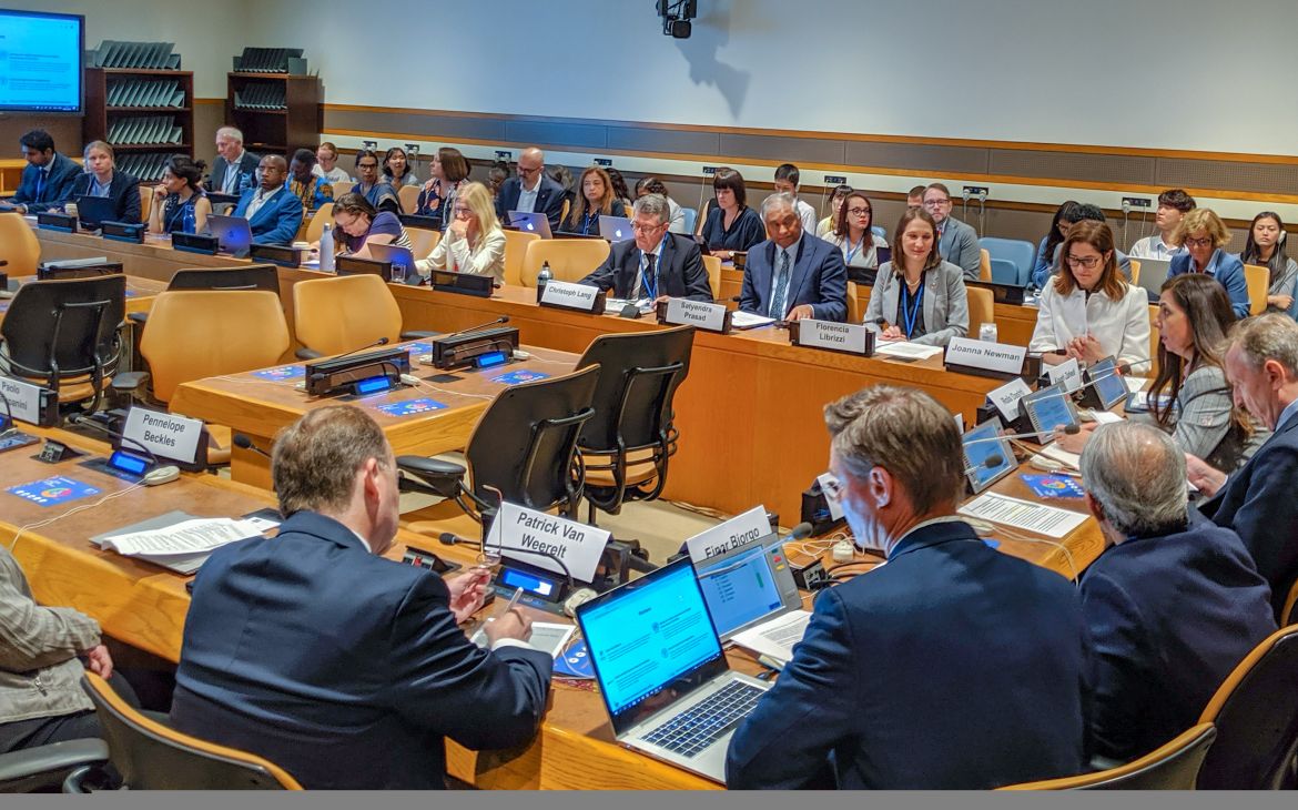  Launch of UN SDG:Learn at 2019 HLPF_panel discussion