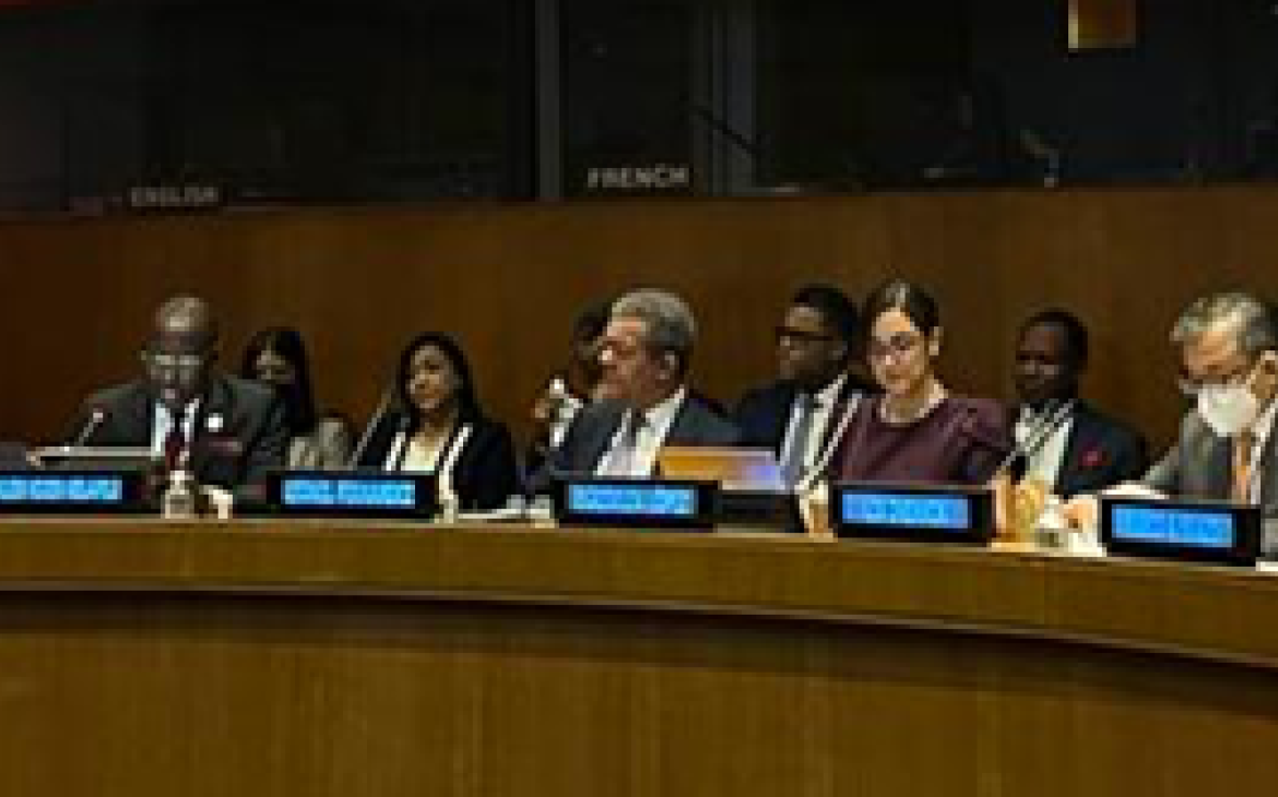 UNITAR NYO organizes the SDGs Learning, Training and Practice Opening Session