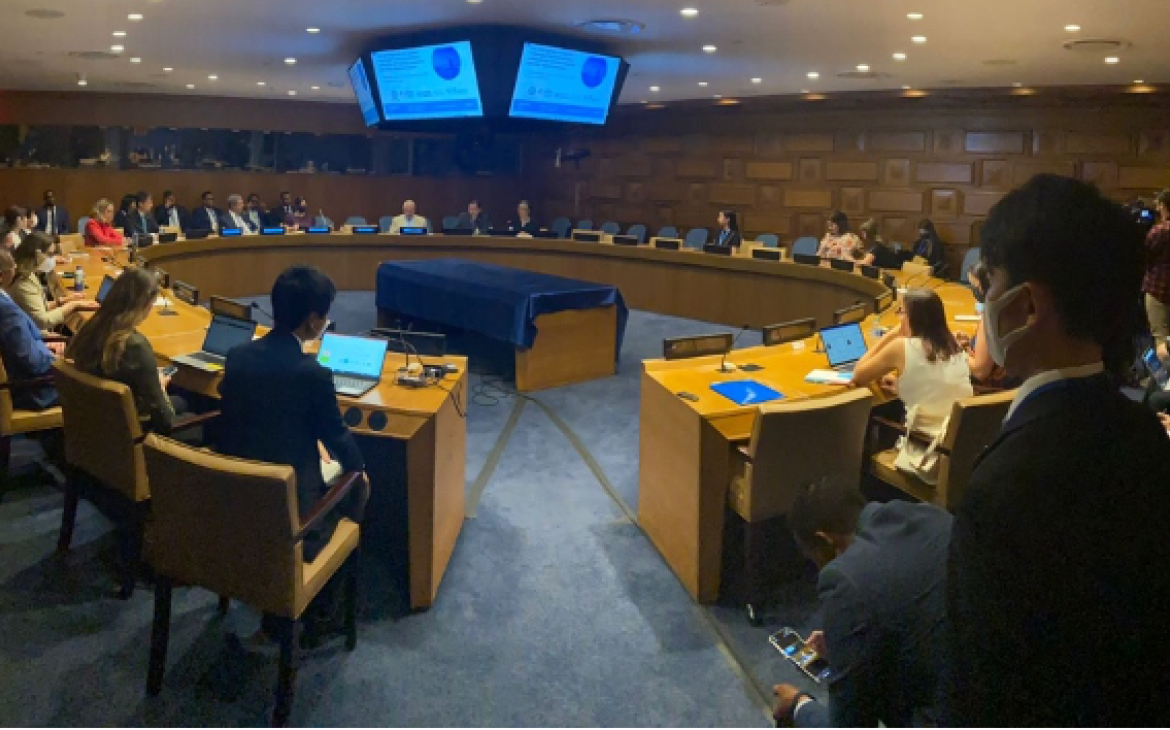 UNITAR NYO organizes the SDGs Learning, Training and Practice Opening Session