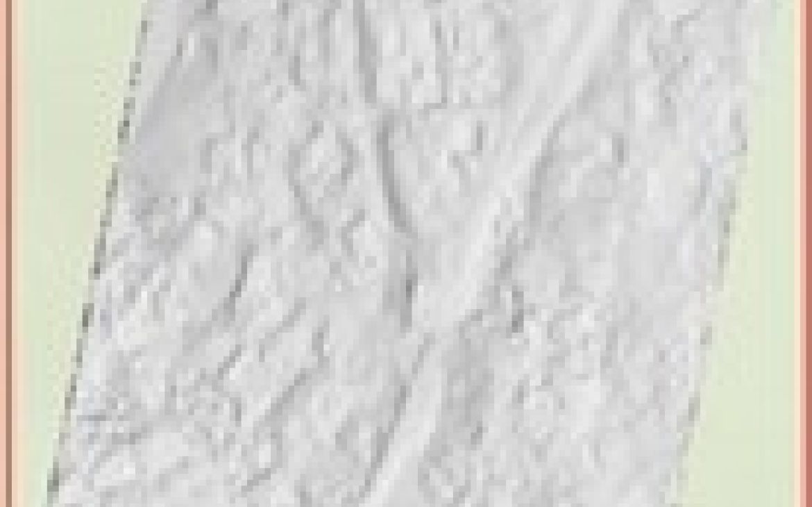 Lidar image of topography around road in Vanuatu