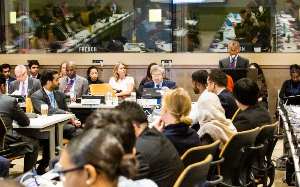 UNGA Training for New Delegates