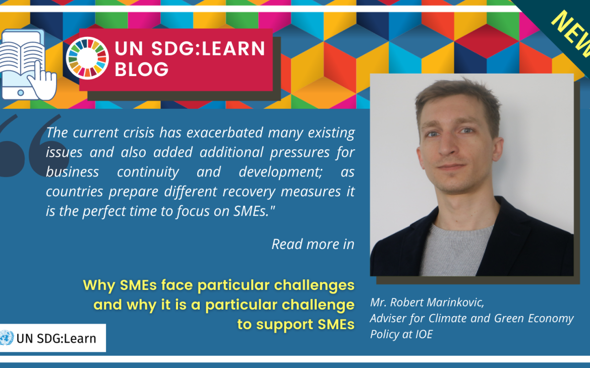 UNSDGLearn Blog - 2nd series - Robert Marinkovic