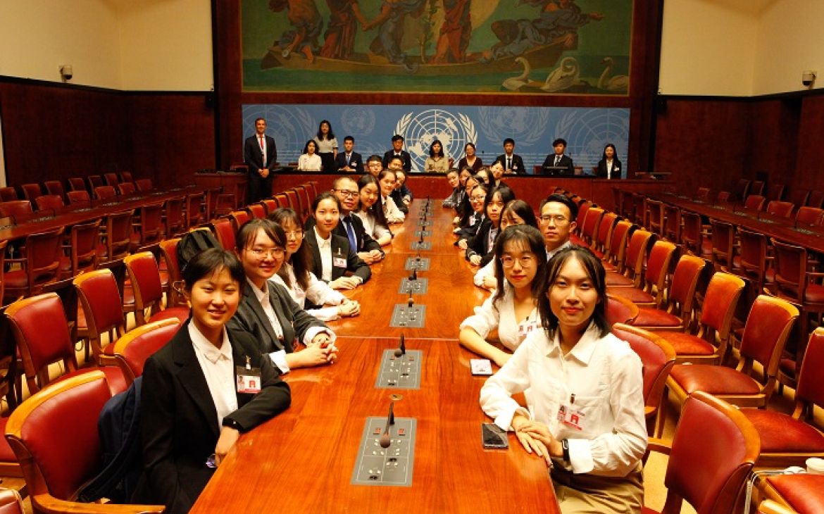 UN Immersion Programme