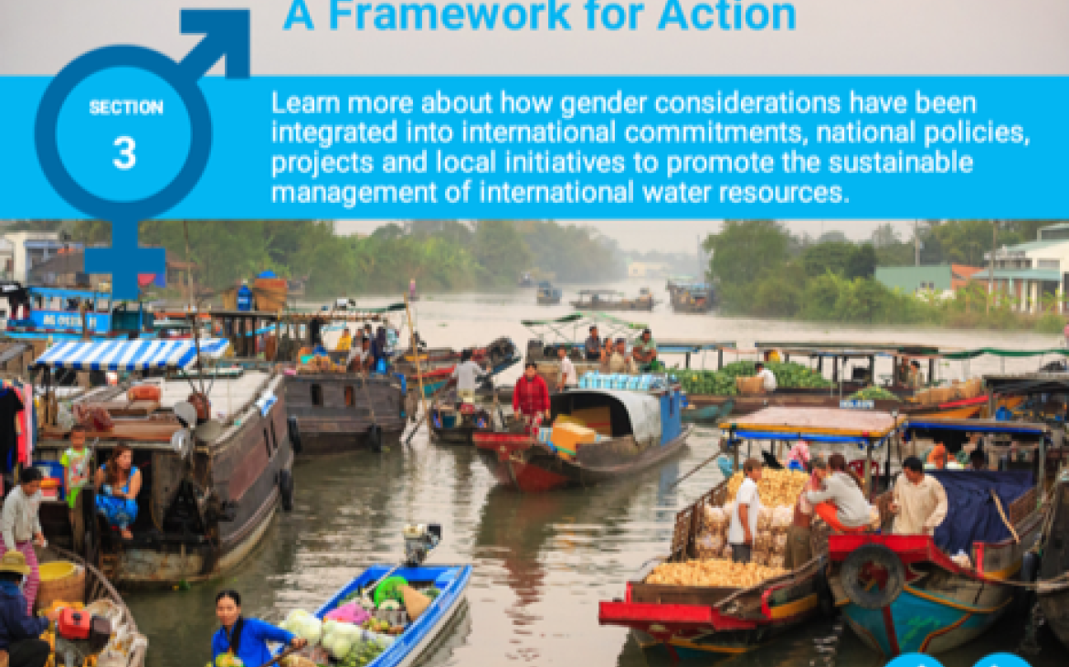 Interactive features of the module