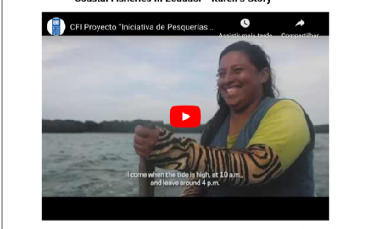 Interactive features of the module