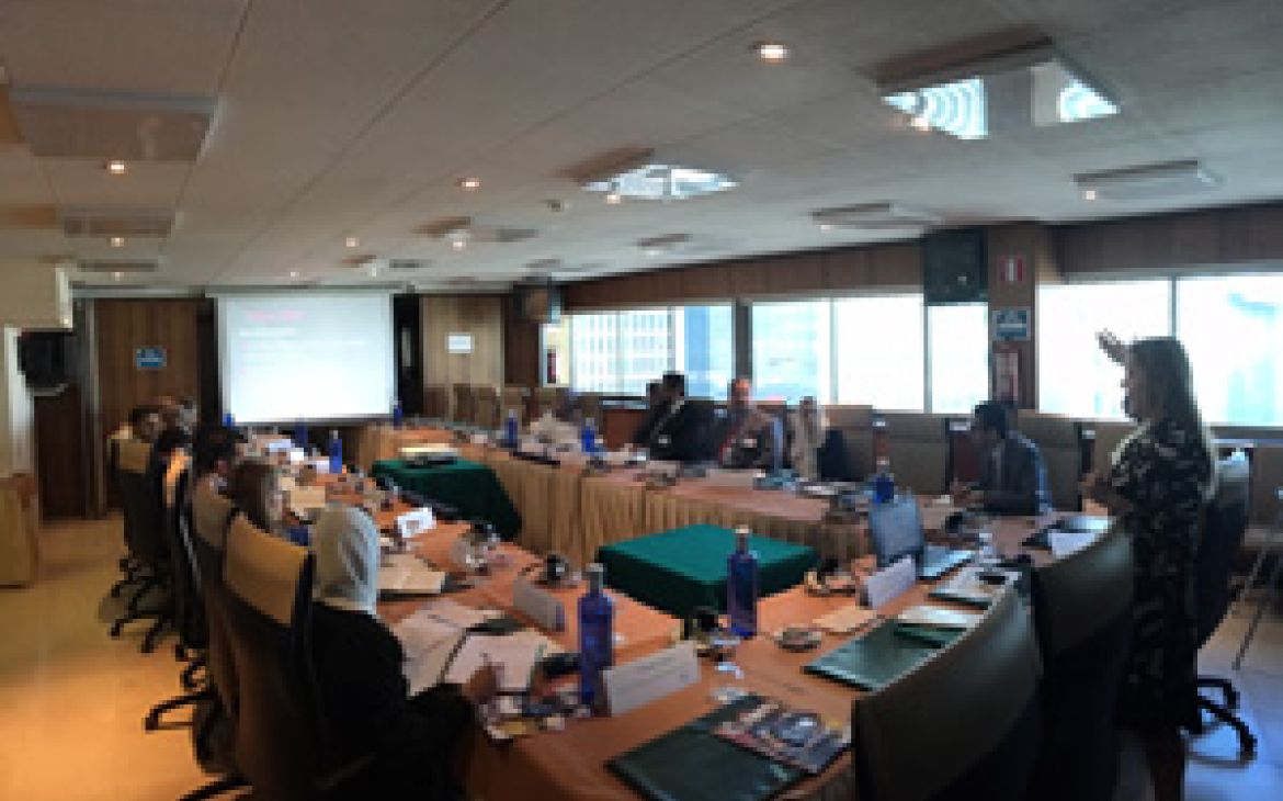 Ms. Jasna Jelisic presenting to participants