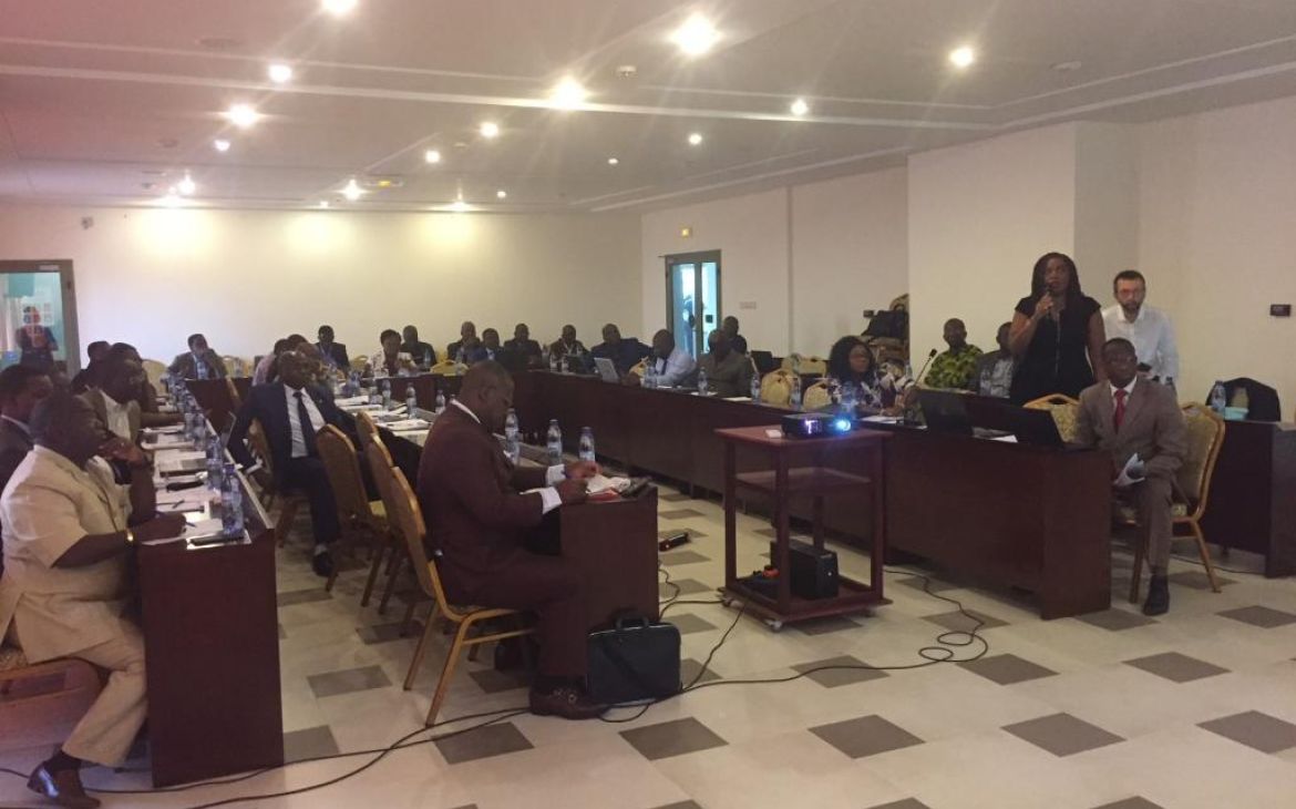 Piloting the “Policy cycle, integrated approaches and SDGs” toolkit in Togo