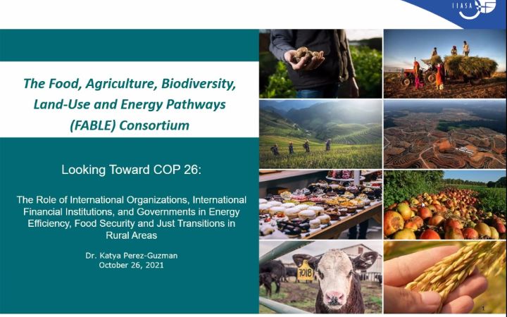 Ms. Milagros (Millie) Mutsios