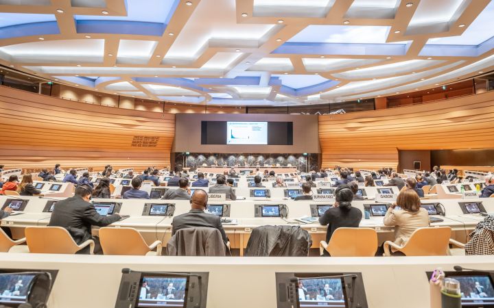 United Nations Diplomacy 4.0 Training Programme