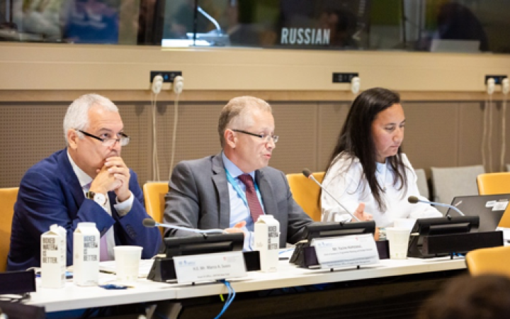 Photo 8 - Ms. Aruna Thanabalasingam during presentation