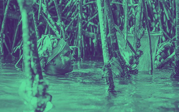 Crowd4SDG GEAR Cycle 2