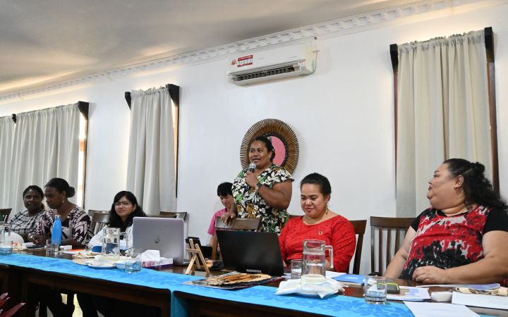 UNITAR 2023 DRR Programme