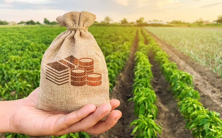 UNITAR signed an agreement with Food and Agriculture Organization (FAO)