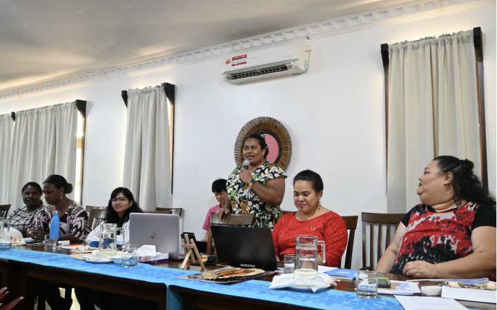 Final session of Disaster Risk training to be held in Tonga 