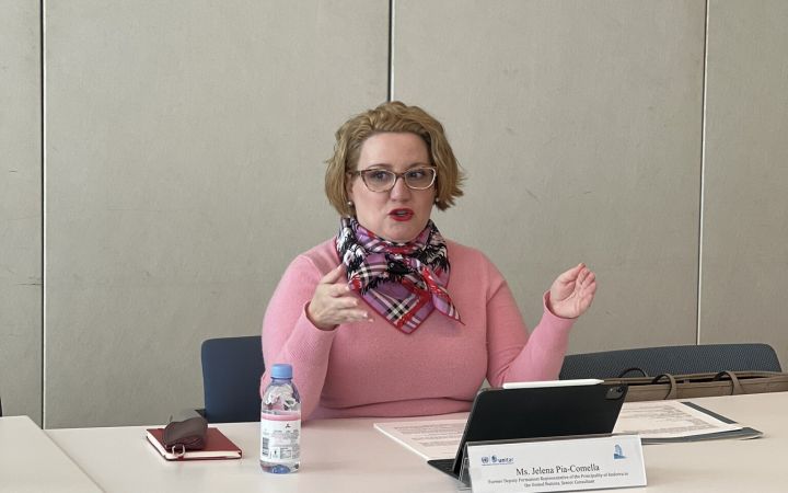 Ms. Jelena Pia-Comella leads a discussion on Peace and Security