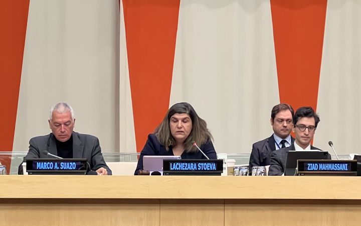 ECOSOC Orientation Panelists