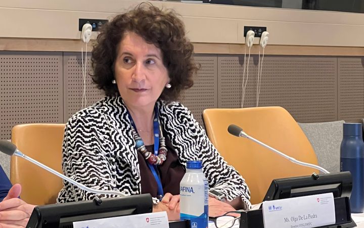 Ms. Olga de la Piedra, Director of Office of the Under-Secretary General (OUSG)/ Department of Management Strategy, Policy and Compliance (DMSPC)