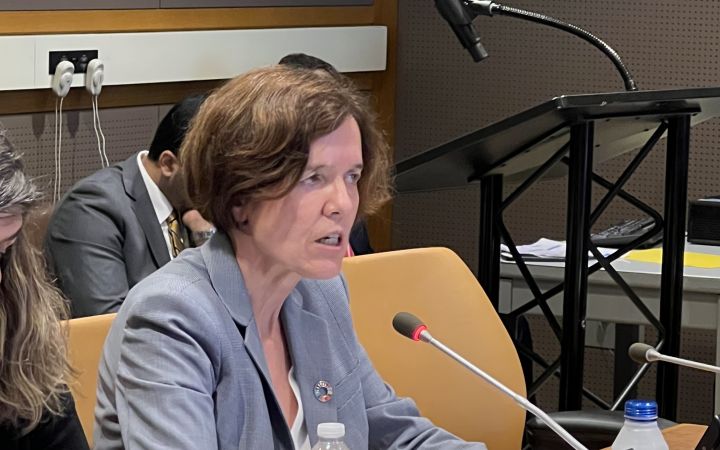 Ms. Marion Barthelemy,