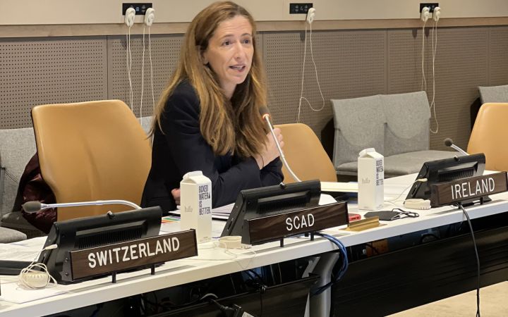 Ms. Blanca Montejo speaking about Current Working Methods ad Issues before the Security Council