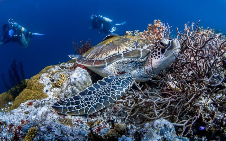 "Whilst the current pandemic has rightfully attracted society’s focus and energy, the imperatives brought upon by the climate crisis remain as pressing as ever" 