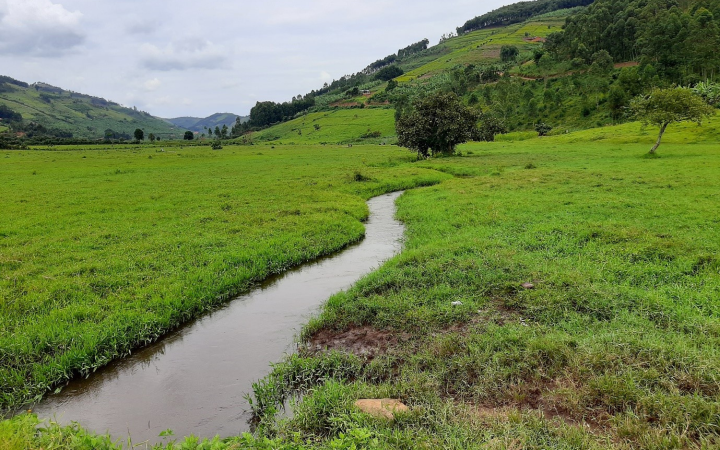 Impact Story - Viola Mugisha