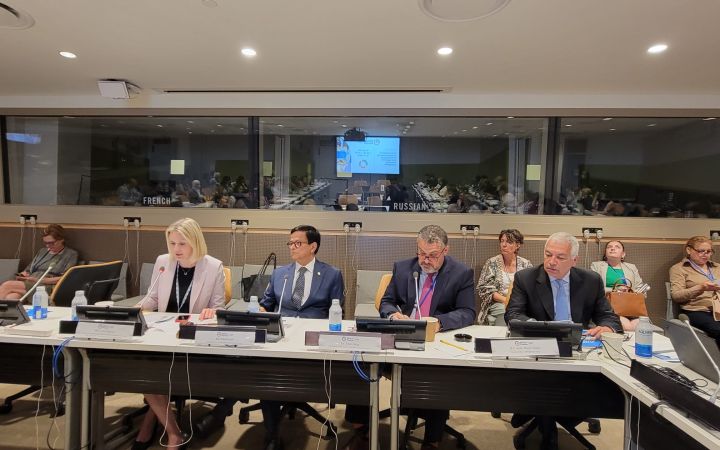 UNITAR and DESA Launch 2024 SDGs in Practice