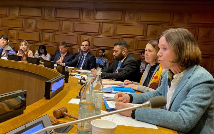 introduced Ms. Marion Barthelemy, the Director of the Office of Intergovernmental Support and Coordination (OISC) from the Department of Economic and Social Affairs (DESA)