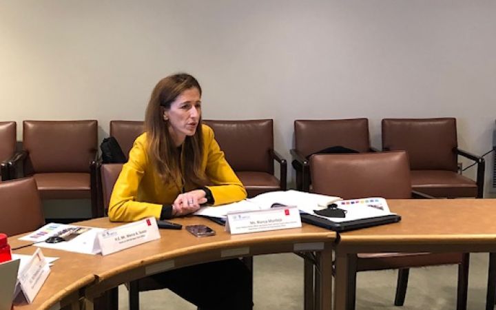 Ms. Montejo explaining current working method issues before the council