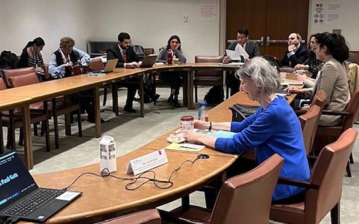 Ms. Sievers giving an overview of documents received by Council members and Council Presidency preparation