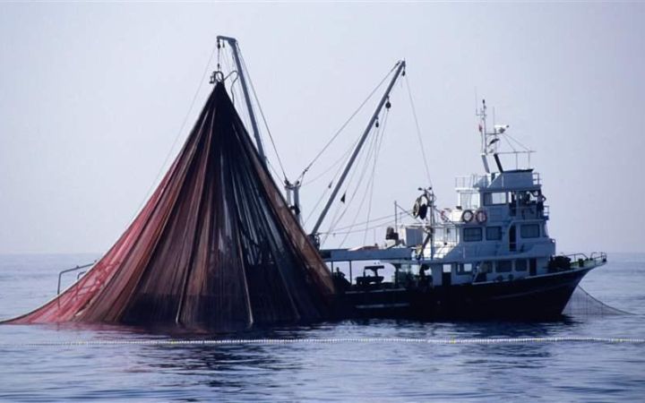 Courses on Law of the Sea