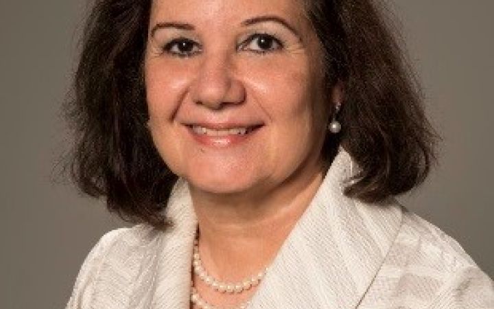 Chef de Cabinet Maria Luiza Ribeiro Viotti