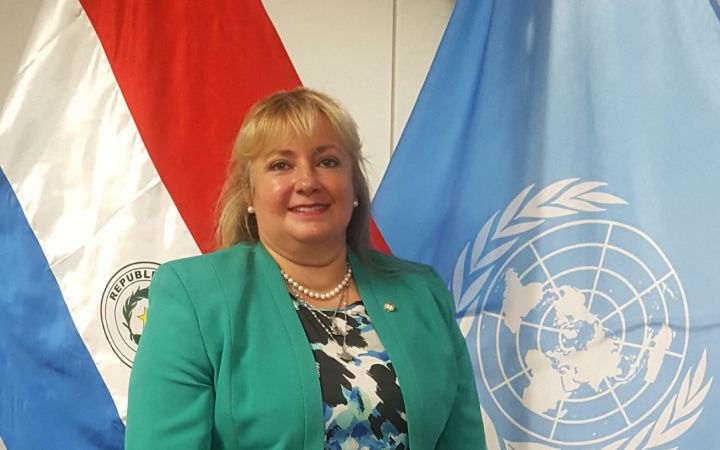 Conflict mediation for a peaceful future