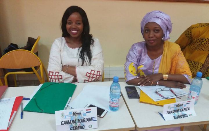 The Primacy of Political Solutions – Enhancing Key Capacities in Africa