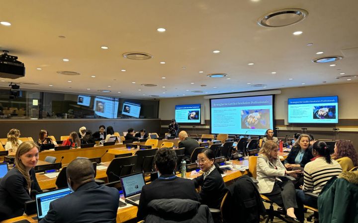 Participants engage in group activities