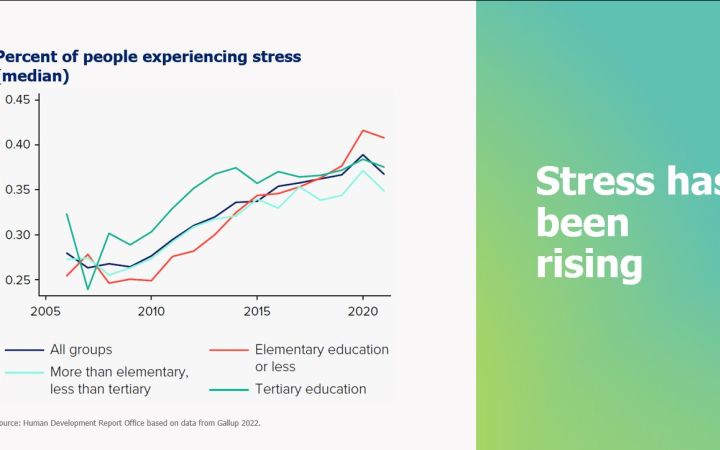 Presentation from UNDP