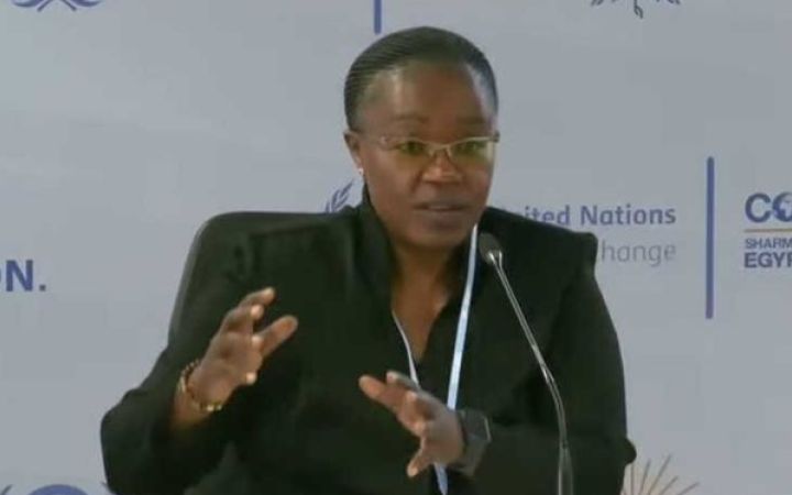 Rwanda Minister of Environment Dr. Jeanne d’Arc Mujawamariya