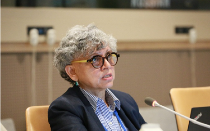 Photo 2: Anjana Das speaking at the Fifth Committee Orientation Course. 