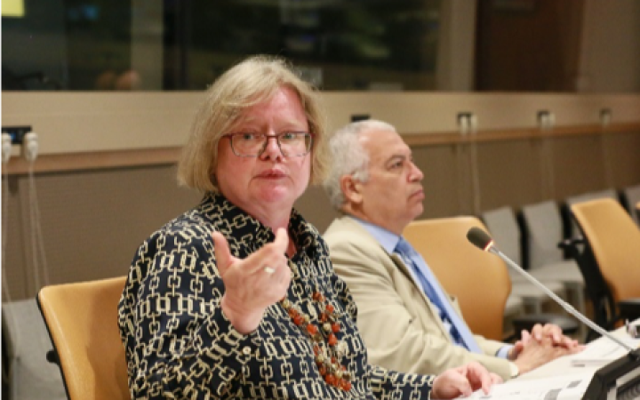 Photo 4: Regina Pawlik speaking at the Fifth Committee Orientation Course. 