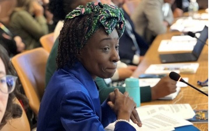 Ms. Vita Onwuasoanya presenting