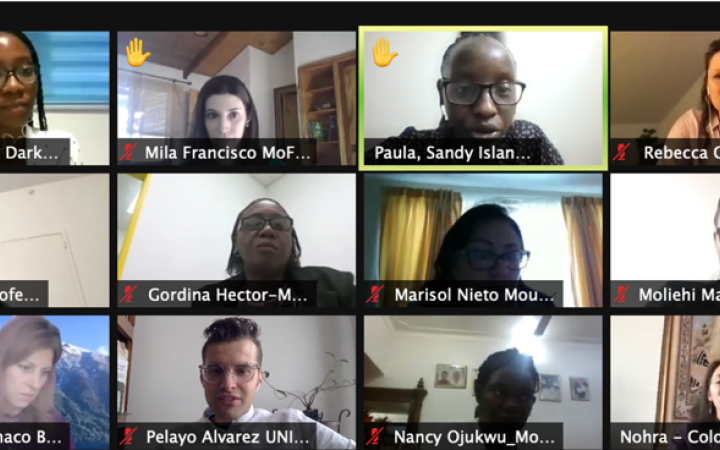 participants of the online event