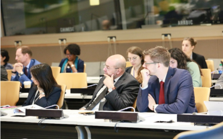 Photo 5: Participants at the Fifth Committee Orientation Course. 