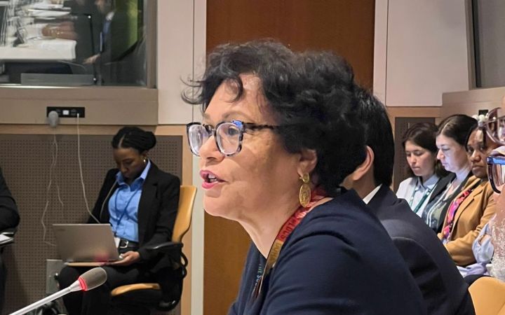 Ms. Ruth de Miranda, Director of the General Assembly and ECOSOC Affairs Division, speaks about the role of GA and ECOSOC