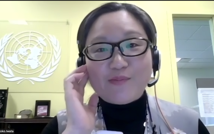 Ms. Tomoko Iwata, Senior Legal Officer of the Office of Legal Affairs 